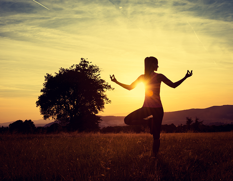 Just Holistics