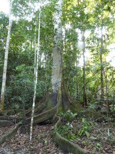 Inti Eco Lodge