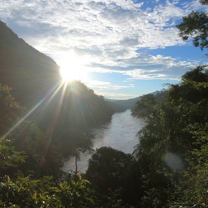 Lotus Vine Journeys