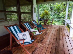 Wandari Plant Master Boutique Retreat Wandari Plant Master Boutique Retreat