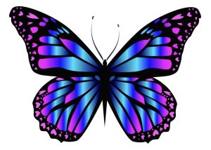 Full of Life Therapies: Mind,  Body,  Soul