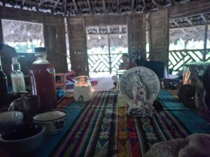 Mundo Profundo Ayahuasca Retreats