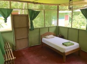 Ayahuasca Oasis Healing Center