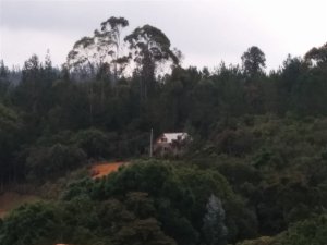 Rasa Healing Center