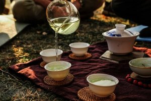 Indriya Retreats