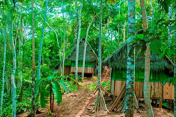 Ayahuasca Temple