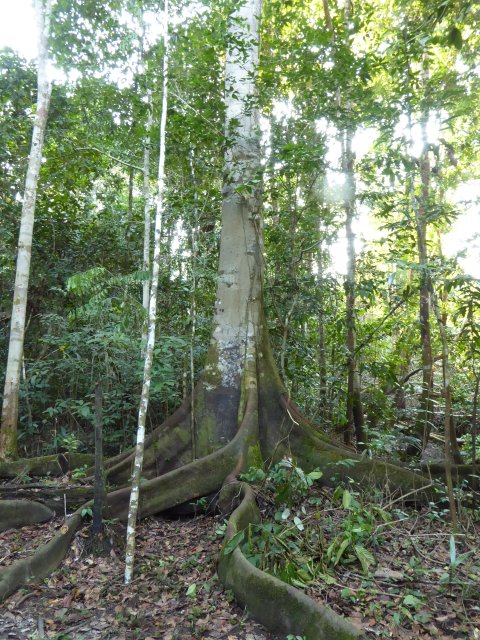 Inti Eco Lodge