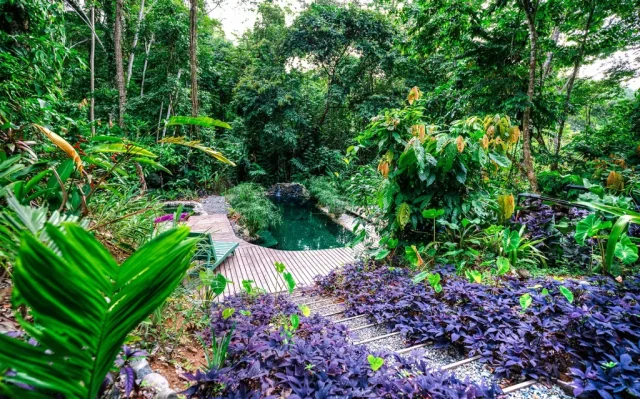 SHAMANA RETREAT CENTER AND ECOLODGE