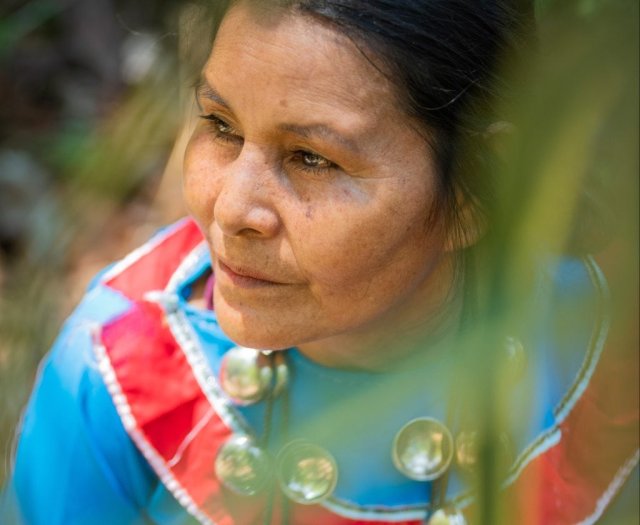 Ayahuasca Temple
