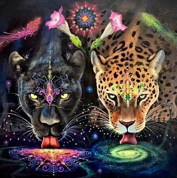Nektar Healing
