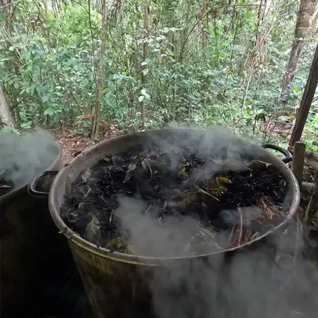 Home of Ayahuasca
