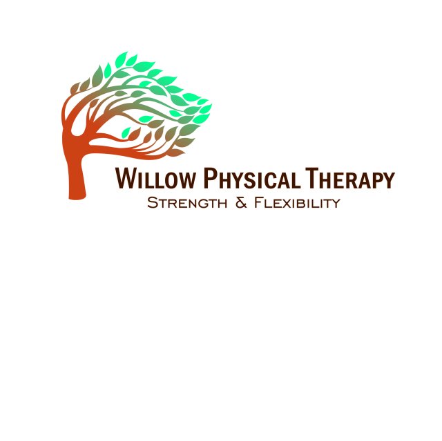 Aisha Wilbur, PT